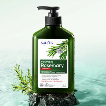 Natural Anti Hair Grow Hair Loss Organic Amino Acid Rosemary Essential Coconut Oil Shampoo For Men And WomeN